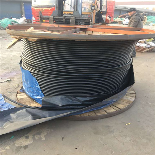 96629de03fec1.jpg