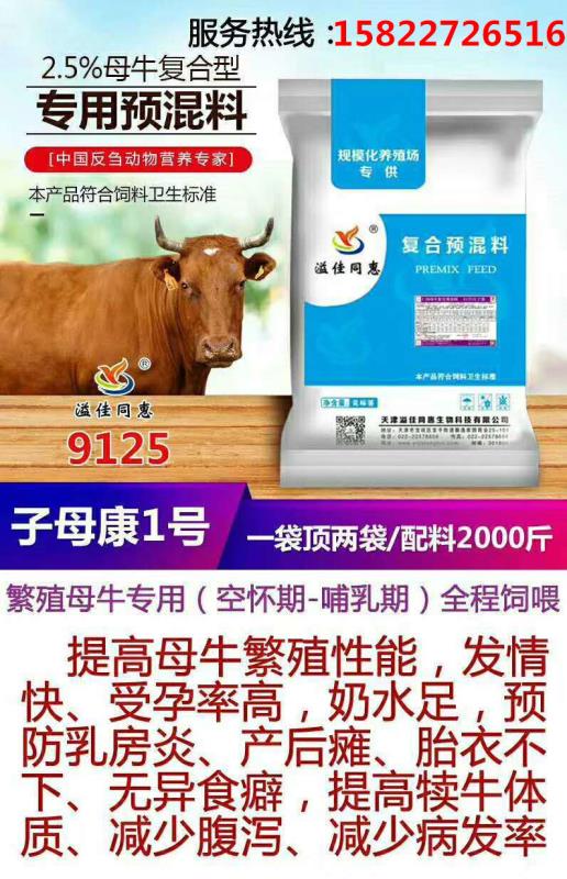 母牛6.jpg