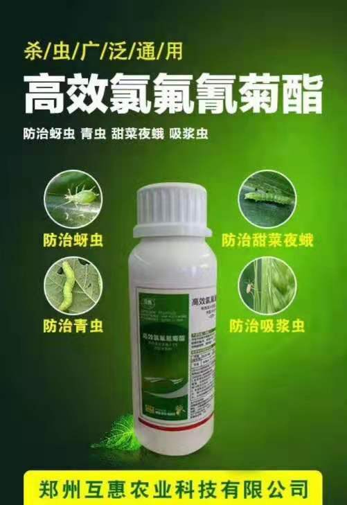 e6b59788b7cafa36d6e2d374d13ff05.jpg