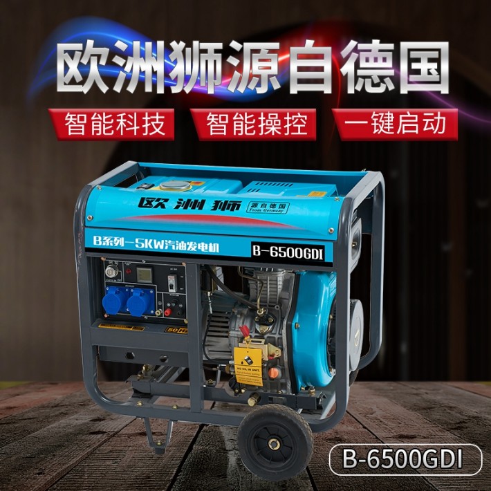 开架式汽油发电机B-6500GDI-1.jpg