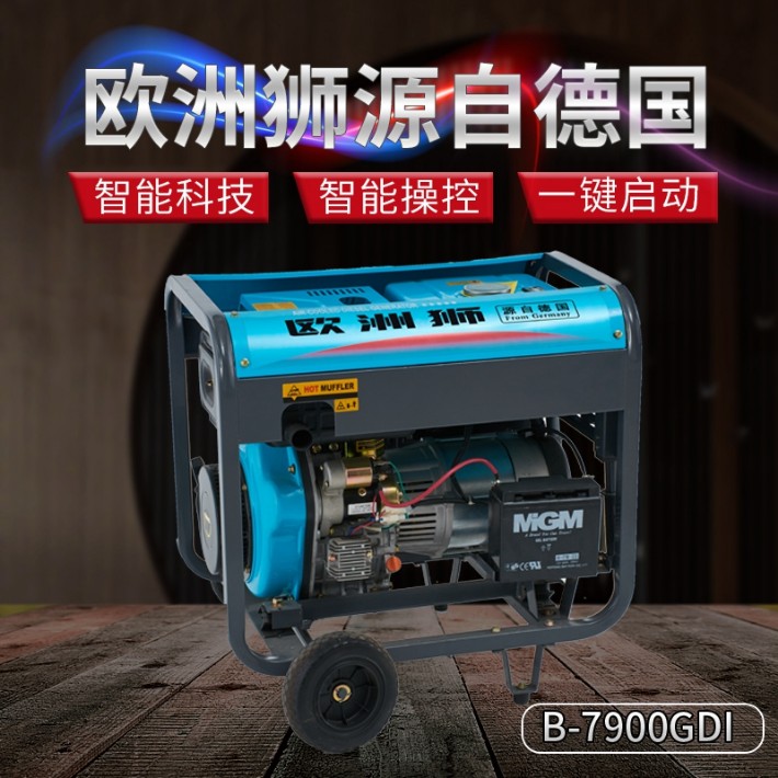 开架式汽油发电机B-8500GDI-3.jpg