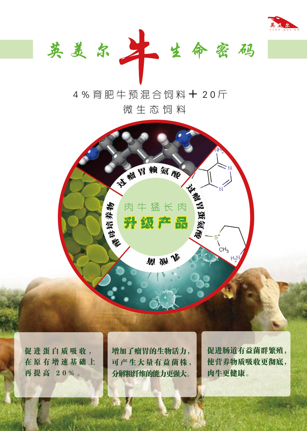 牛密碼 (1).jpg