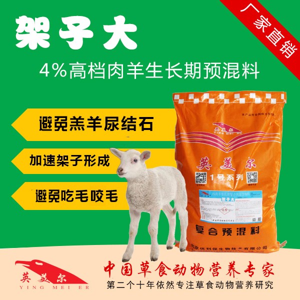 架子大.jpg