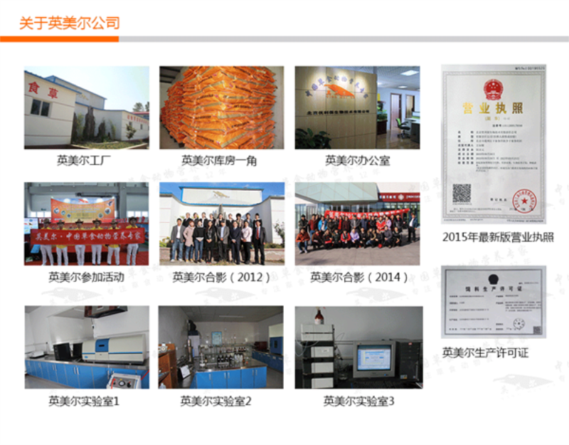公司證件及合影.png