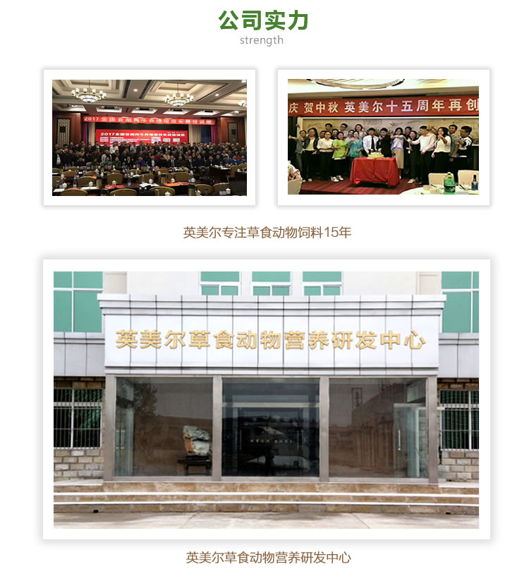 英美爾公司 (2).jpg