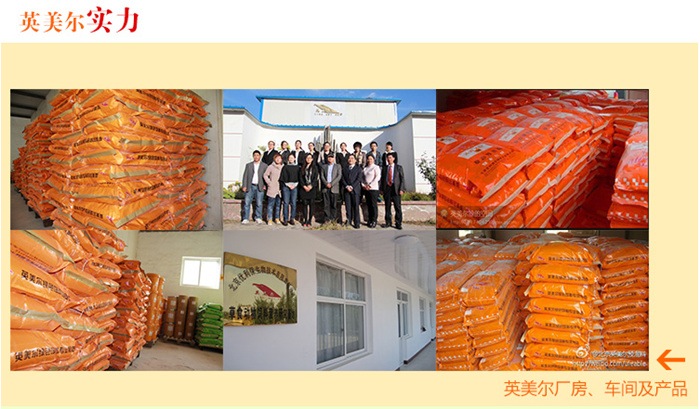 英美爾實力1.jpg
