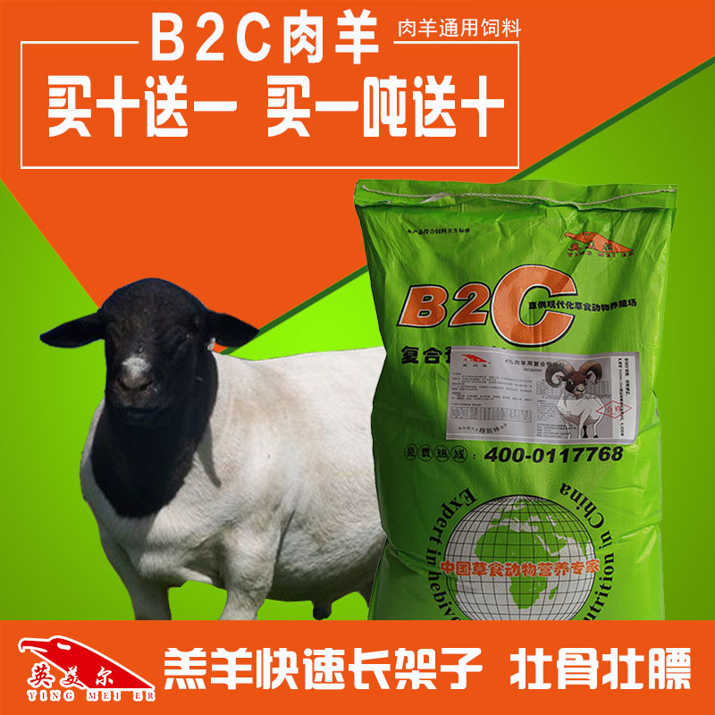 B2C羊  (1).jpg