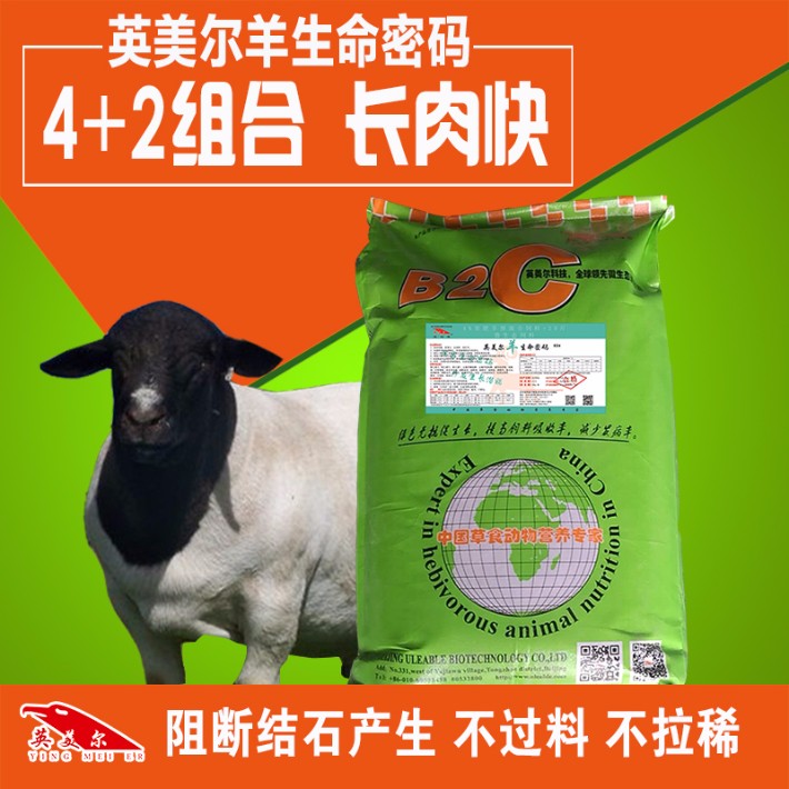 羊生命密碼(1).jpg