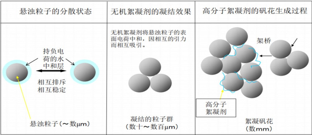 {CF8E4DB2-CE92-4D48-A91B-F6146BA6CF6A}_20190810094435.jpg