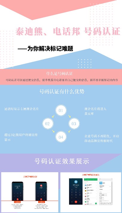泰迪熊认证.jpg