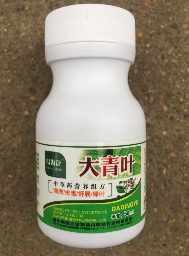 大青叶1.JPG