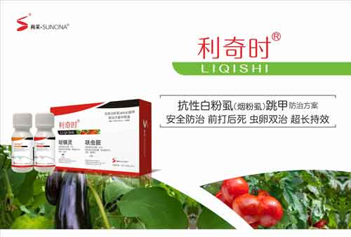 茄子上的白粉虱怎么消灭
