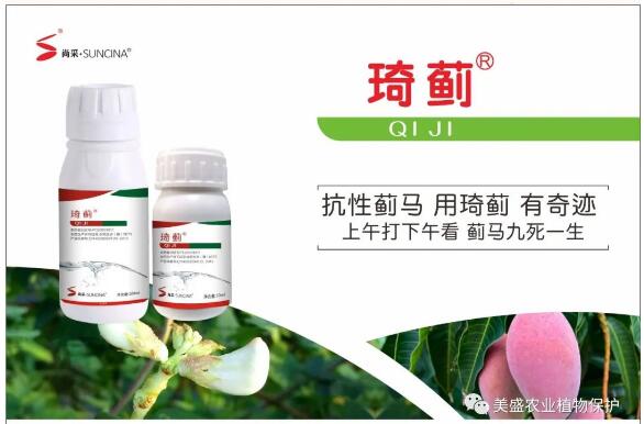 qiji11.jpg