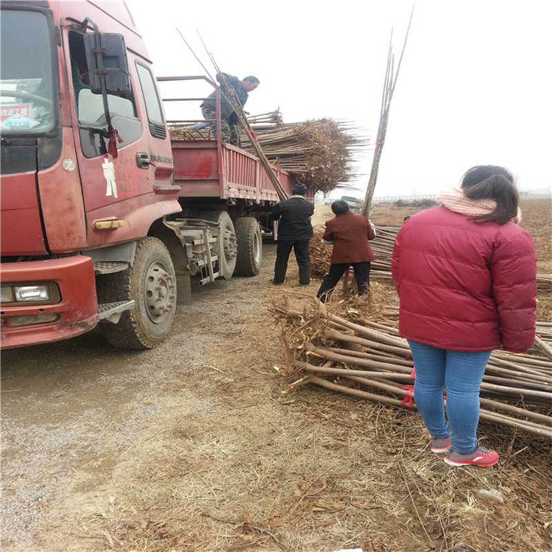 20151205_145031_副本.jpg