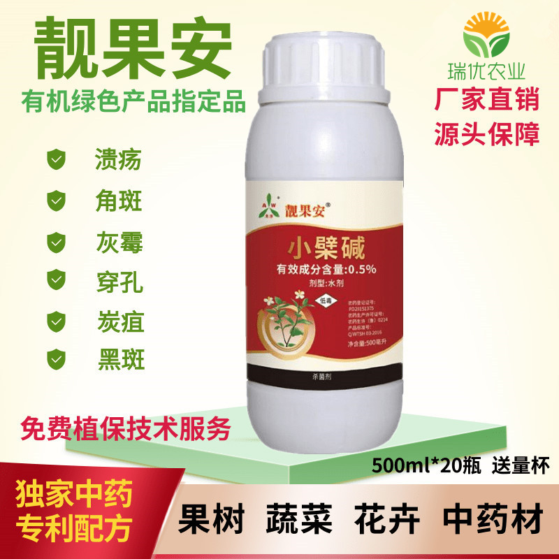 新靚果安.png