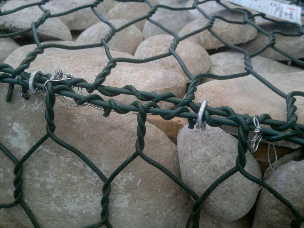 547.jpg