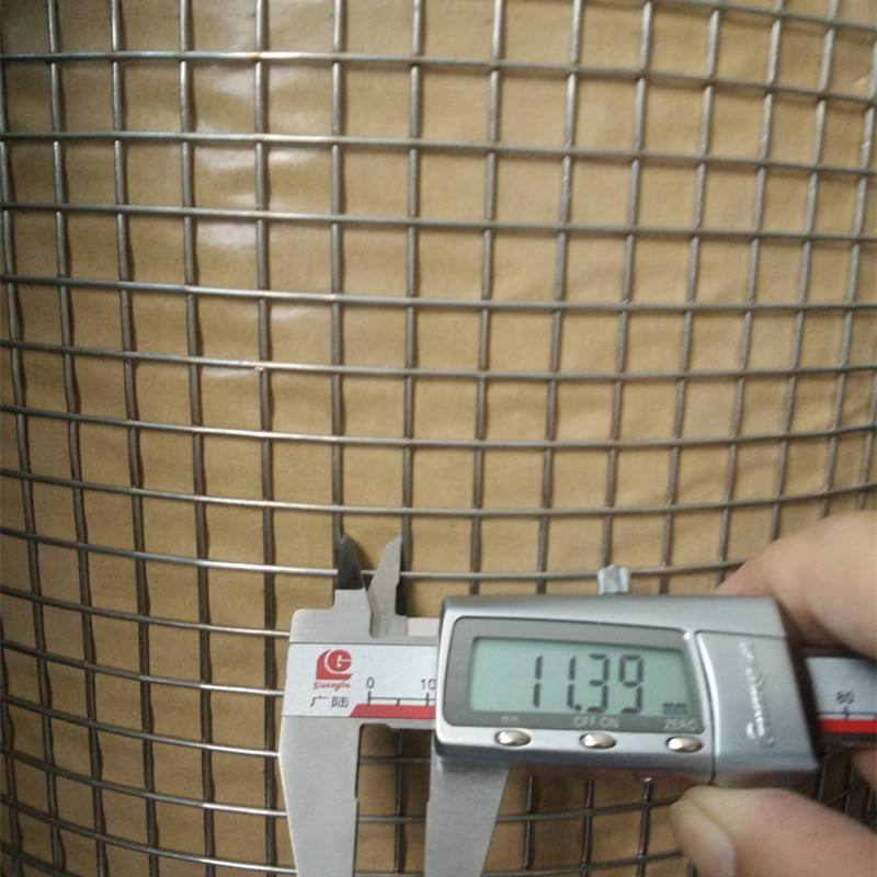 481.jpg