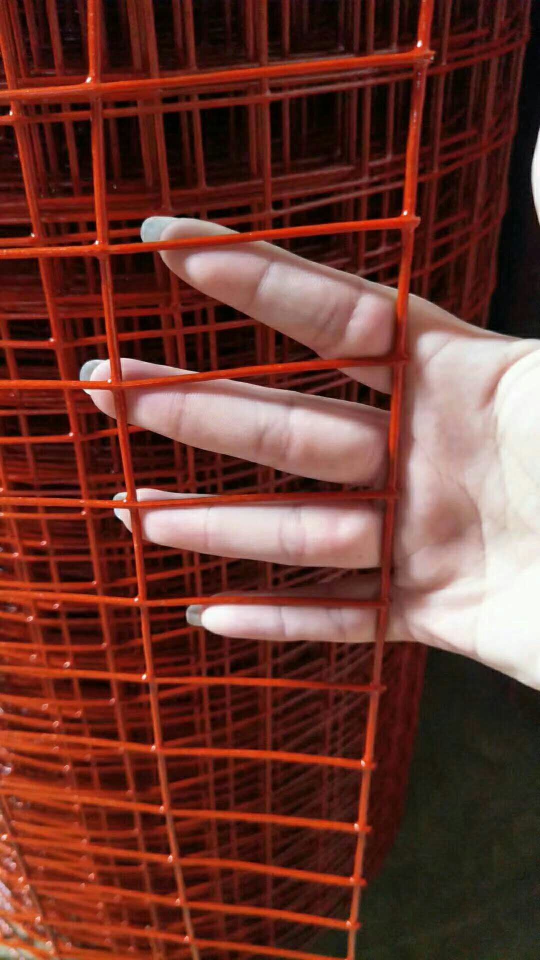 590.jpg