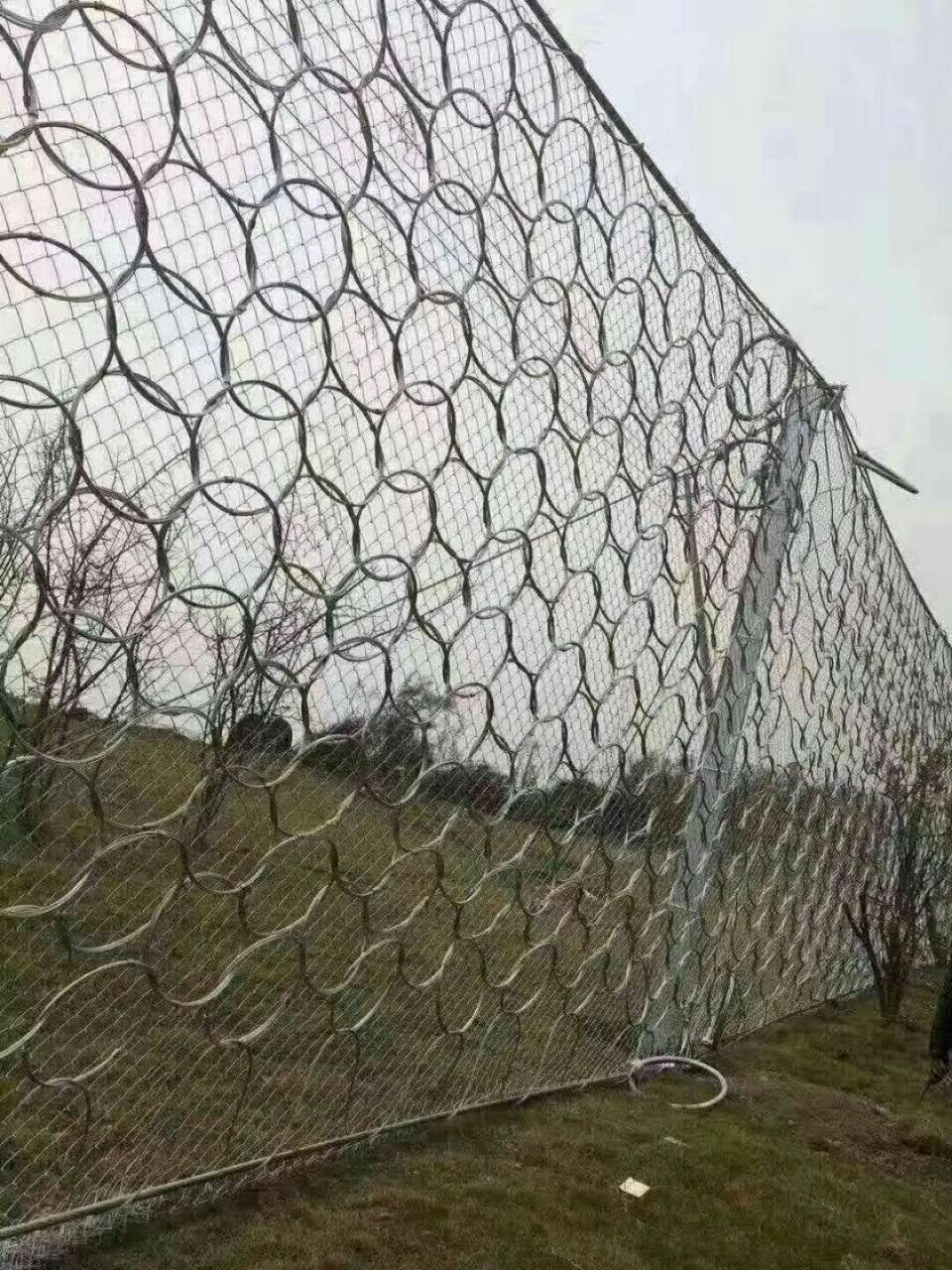48.jpg