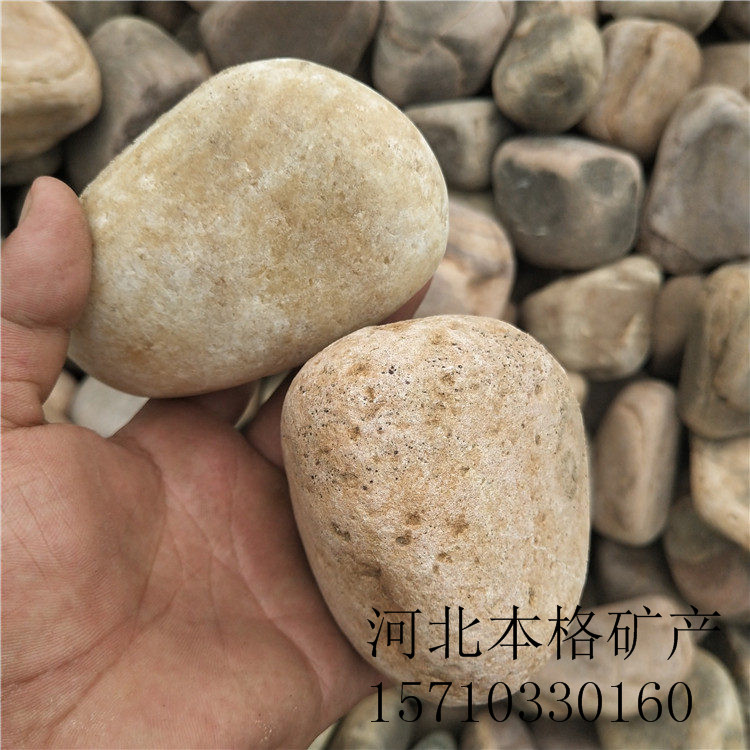 上海鋪路鵝卵石多少錢一噸