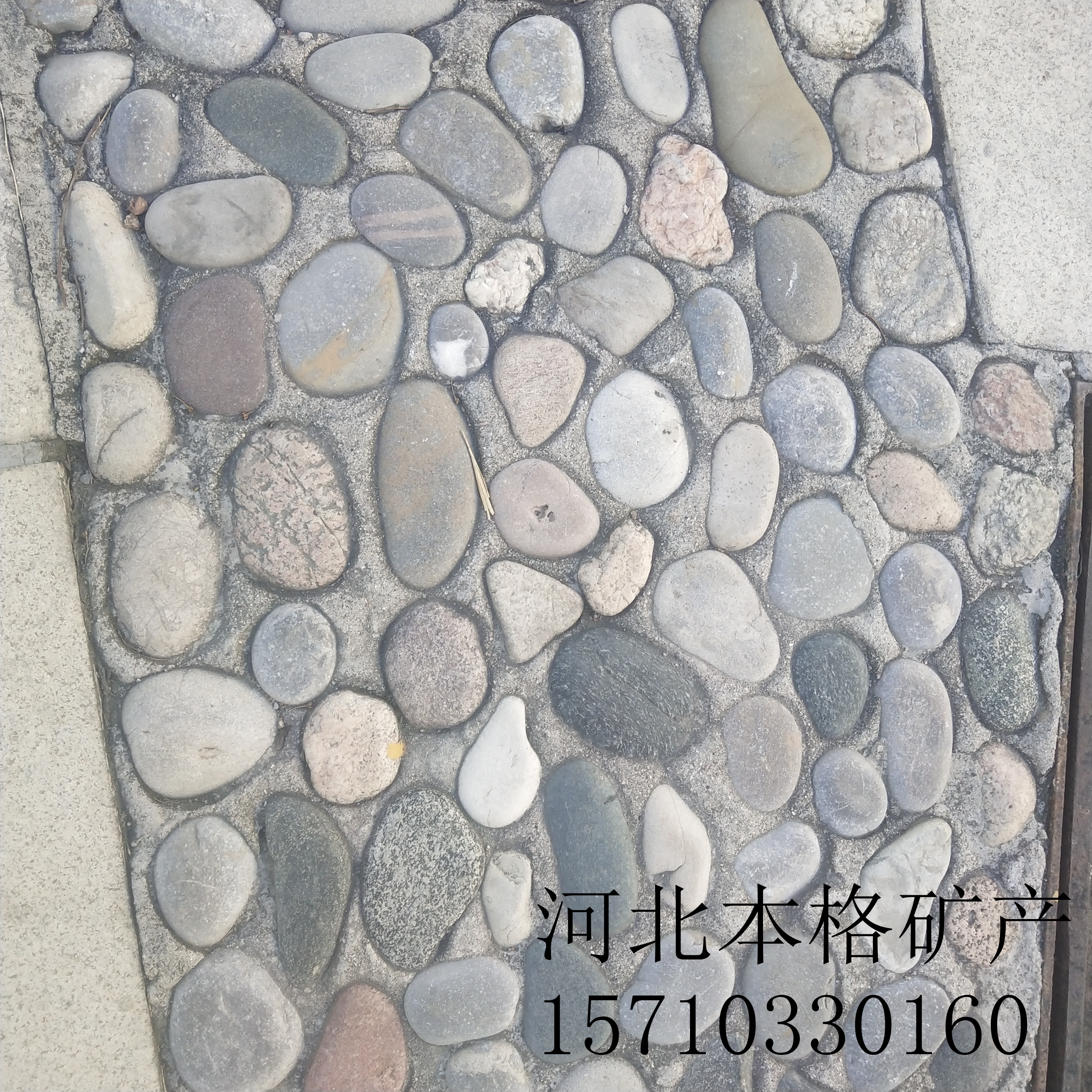 上海鋪路鵝卵石多少錢一噸