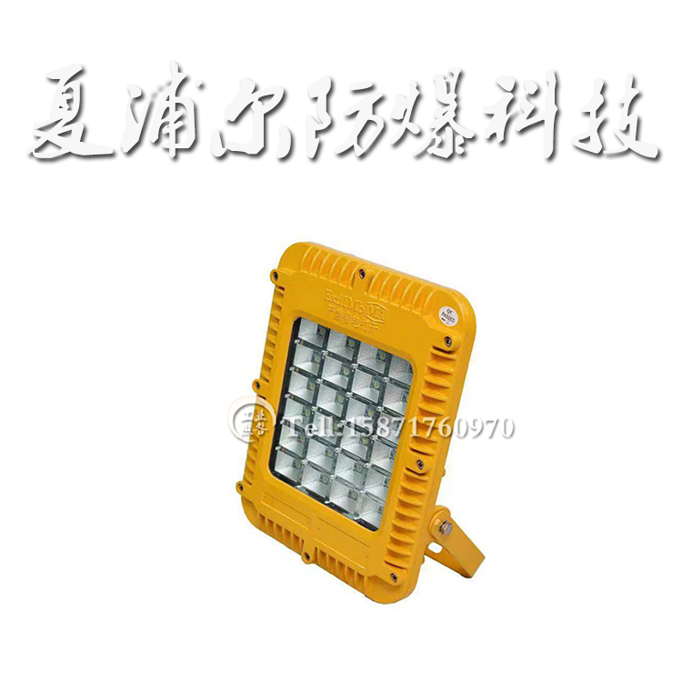 65905.jpg