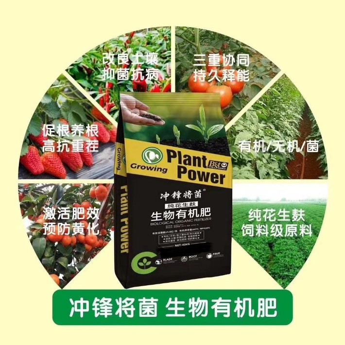 图片_202012281640311.jpg