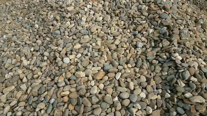 5540551.jpg