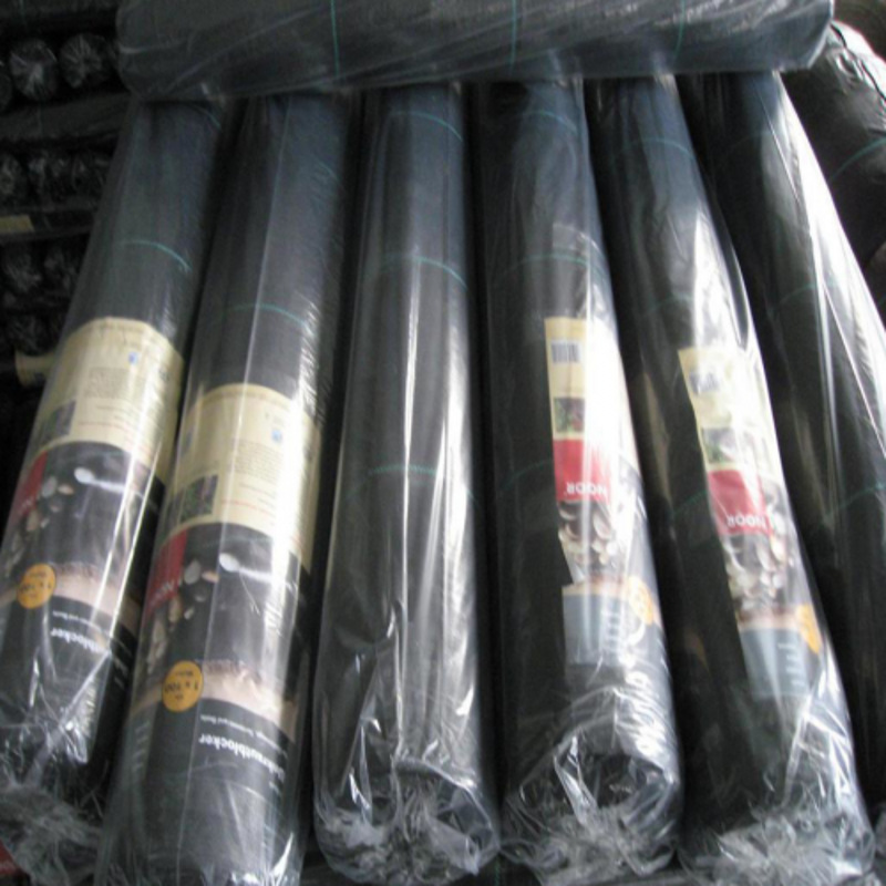 廠家大量供應(yīng)編織布 覆膜編織布 pp大棚塑料編織布示例圖5