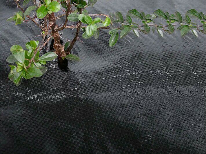 廠家pe 園林編織布防草布 高克重編織布廠家示例圖7