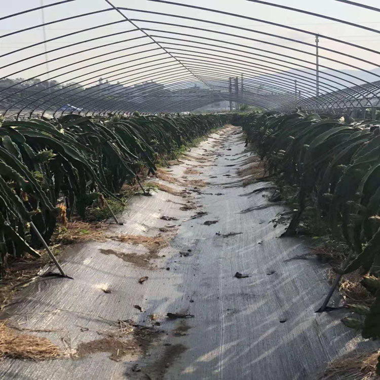 防草布