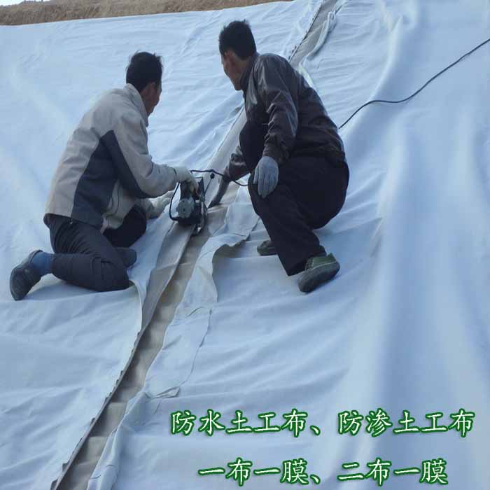 生產(chǎn)短纖針刺14Kn/m非織造800克復合土工膜布膜復合結(jié)構(gòu)示例圖5