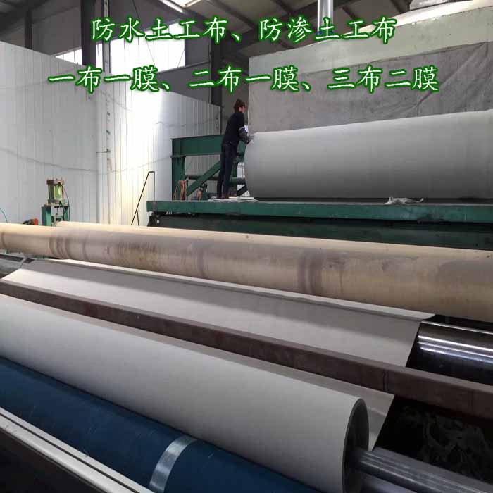 生產(chǎn)短纖針刺14Kn/m非織造800克復合土工膜布膜復合結構示例圖8