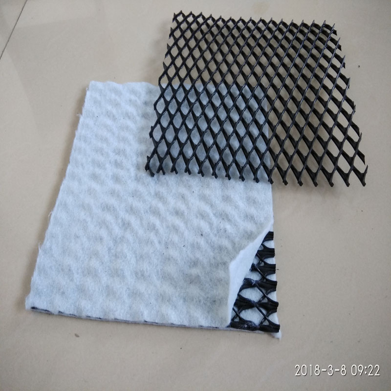 土工排水網(wǎng)廠家，垃圾填埋場土工復(fù)排水網(wǎng)廠家示例圖6