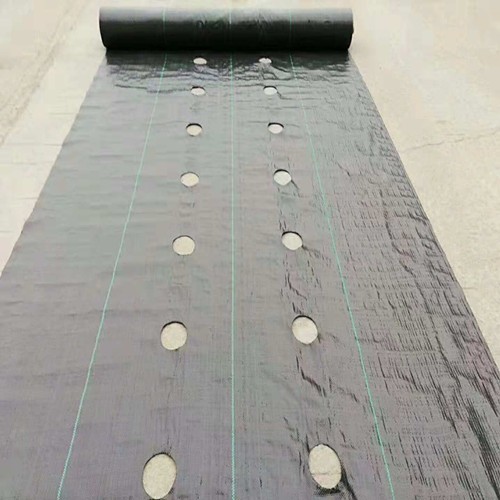 蘋(píng)果園透氣防草地布沈丘使用效果怎么樣
