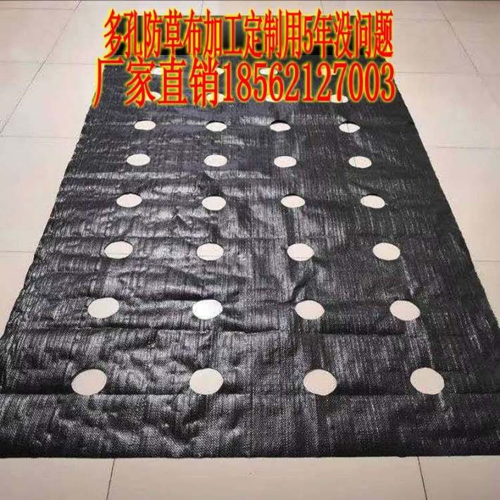 O1CN01ctt2O21yqaSDuBmT9_!!1739546630_conew1.jpg