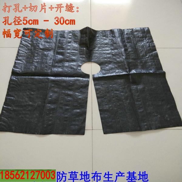 b_121_conew1.jpg