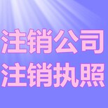 江汉办理公司注销_注销公司_帮您省时省力,注销公司图片1