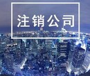 新洲快速办理公司注销_注销公司嫌麻烦_专人帮您代办,注销公司图片