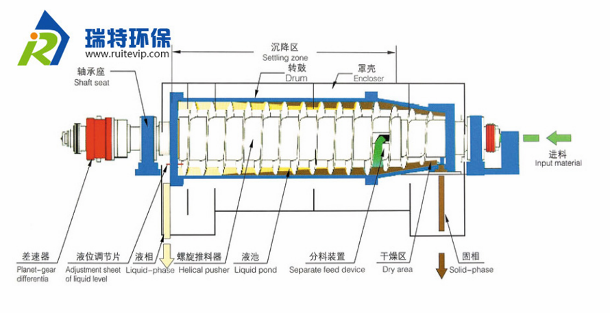 解剖图_副本.png