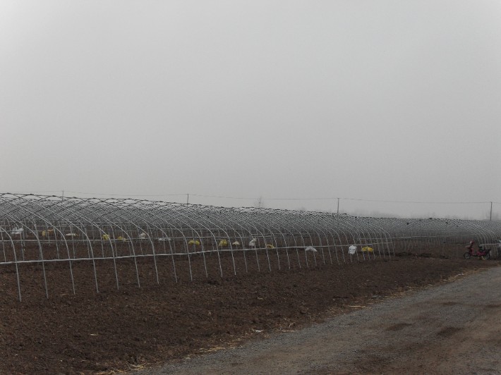 SDC10500.JPG
