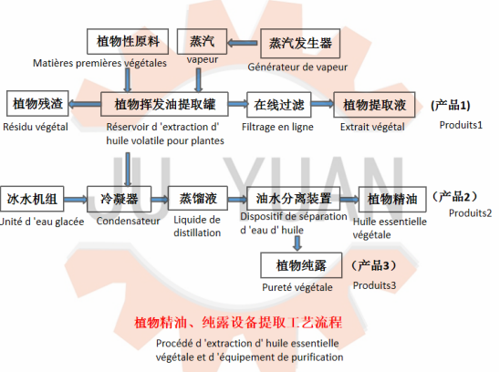 精油提取流程图.png