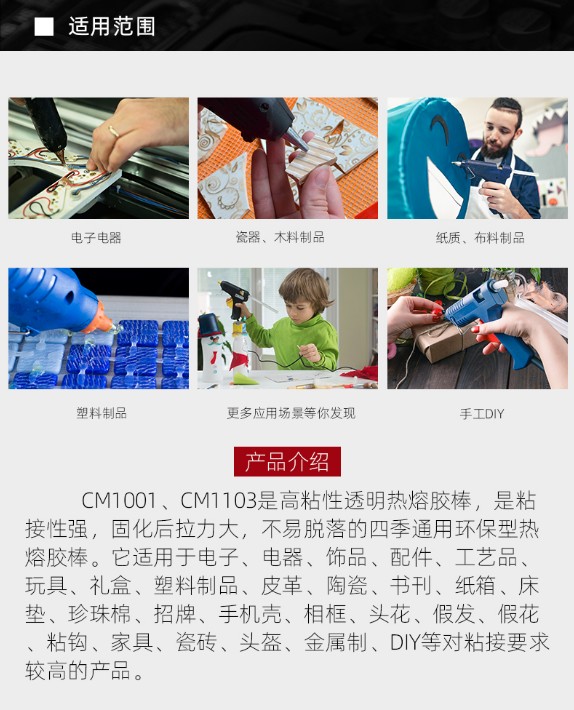CM1103_02.jpg