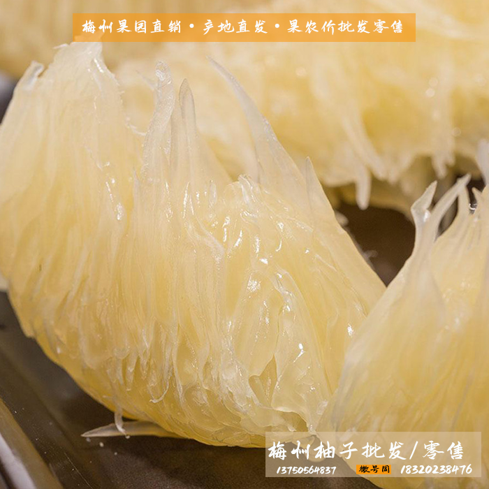 youzi批發引流.png