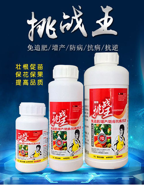 挑战王1.jpg