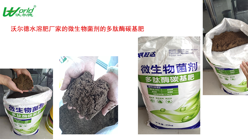 微生物菌劑.jpg