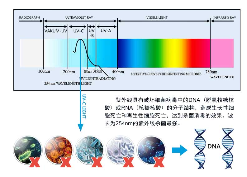 牛奶的消毒原理是什么_孟美岐牛奶照是什么(2)