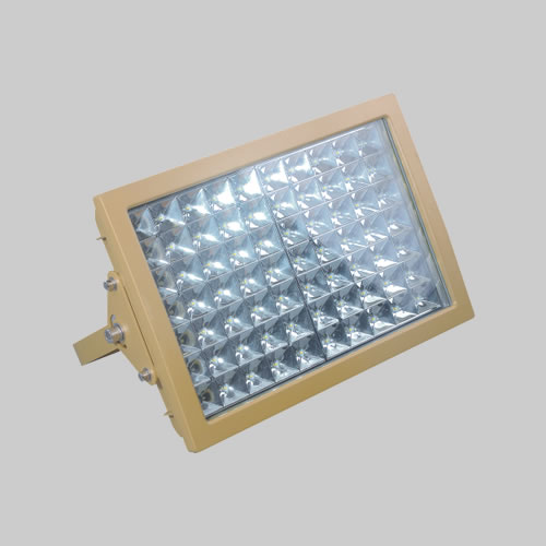 RDB98-97防爆免維護節能投光燈/泛光燈(LED)