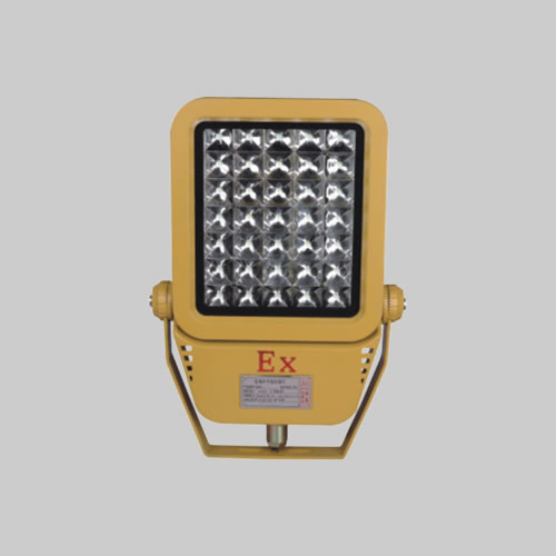 RDB98-MZ型防爆免維護節能燈(LED)