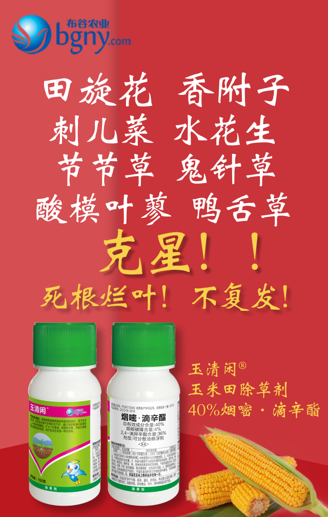 玉米田玉清閑.png